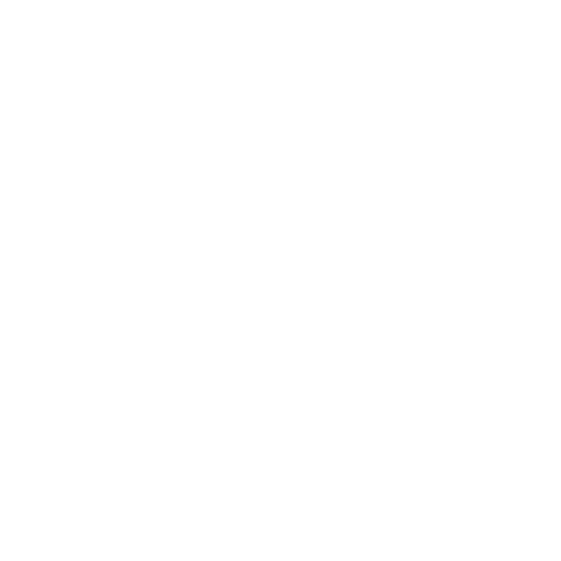 inspection (1)